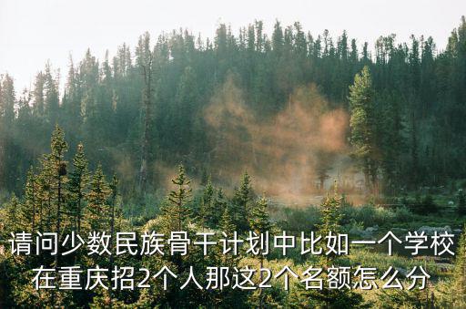 請問少數(shù)民族骨干計劃中比如一個學(xué)校在重慶招2個人那這2個名額怎么分