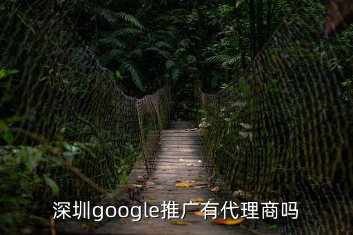 深圳google推廣有代理商嗎