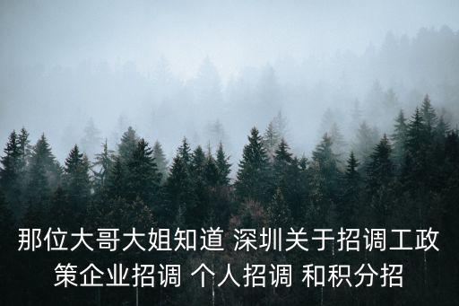 那位大哥大姐知道 深圳關(guān)于招調(diào)工政策企業(yè)招調(diào) 個人招調(diào) 和積分招