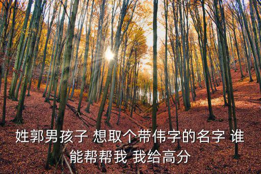 姓郭男孩子 想取個帶偉字的名字 誰能幫幫我 我給高分