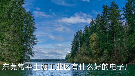東莞常平土塘工業區有什么好的電子廠