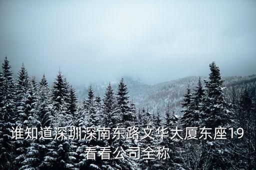 誰(shuí)知道深圳深南東路文華大廈東座19看看公司全稱
