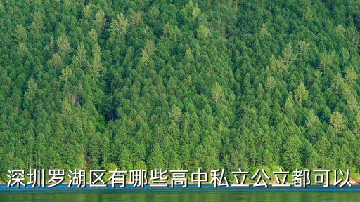 深圳羅湖區有哪些高中私立公立都可以