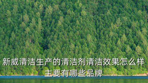 東莞新威清潔用品有限公司，東莞酒店專用洗潔劑