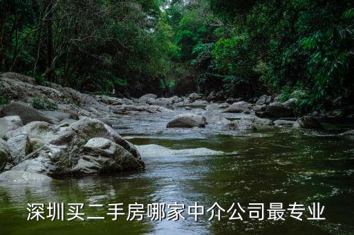 深圳買二手房哪家中介公司最專業(yè)