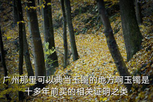 廣州那里可以典當玉鐲的地方啊玉鐲是十多年前買的相關證明之類
