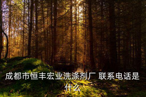 成都市恒豐宏業洗滌劑廠 聯系電話是什么