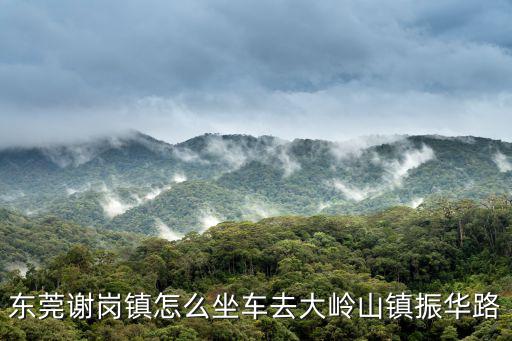 東莞謝崗鎮怎么坐車去大嶺山鎮振華路