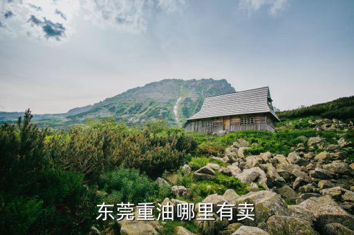 東莞市鴻運石油化工有限公司， 廣東東莞那里有冰醋酸賣