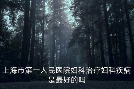 上海市第一人民醫院婦科，上海市第一人民醫院婦科治療婦科疾病是最好的嗎