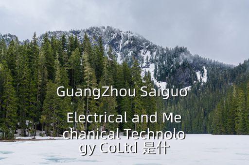 廣州銳瑪電子科技有限公司，winbiz是什么