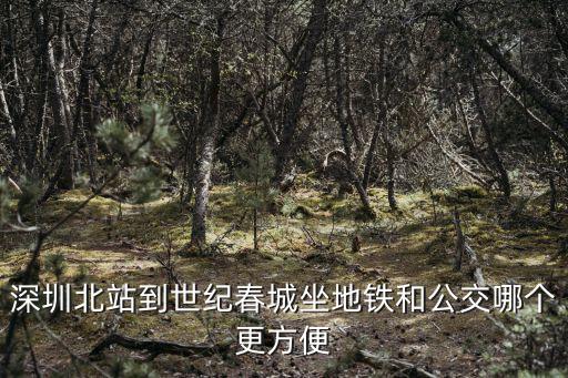 深圳北站到世紀春城坐地鐵和公交哪個更方便