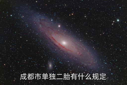 成都市單獨二胎有什么規定