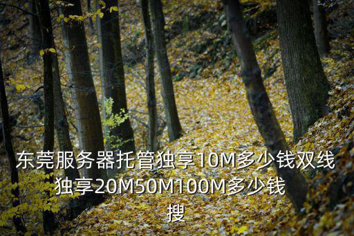 東莞服務(wù)器托管獨享10M多少錢雙線獨享20M50M100M多少錢  搜