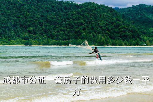 成都市公證一套房子的費用多少錢一平方