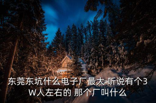 東莞東坑什么電子廠最大 聽說有個3W人左右的 那個廠叫什么