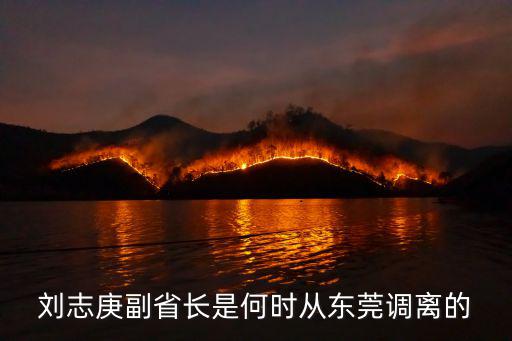 劉志庚副省長是何時從東莞調(diào)離的