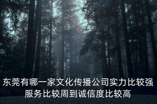 東莞市聲之輝文化傳播有限公司，東莞有哪一家文化傳播公司實力比較強服務比較周到誠信度比較高