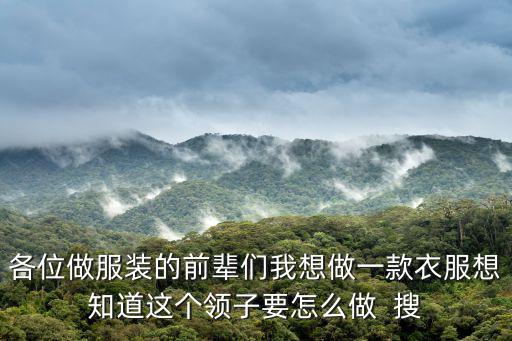 各位做服裝的前輩們我想做一款衣服想知道這個(gè)領(lǐng)子要怎么做  搜