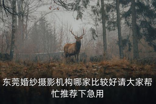 東莞婚紗攝影機(jī)構(gòu)哪家比較好請(qǐng)大家?guī)兔ν扑]下急用