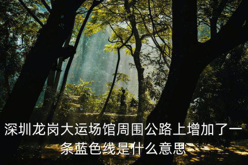 深圳龍崗大運場館周圍公路上增加了一條藍色線是什么意思