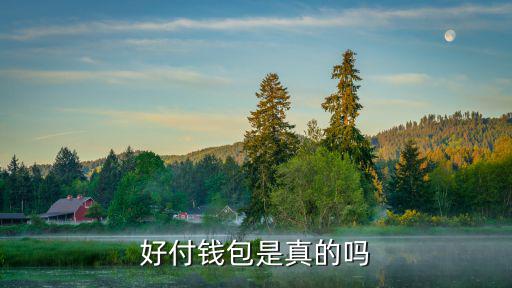 好付錢包是真的嗎