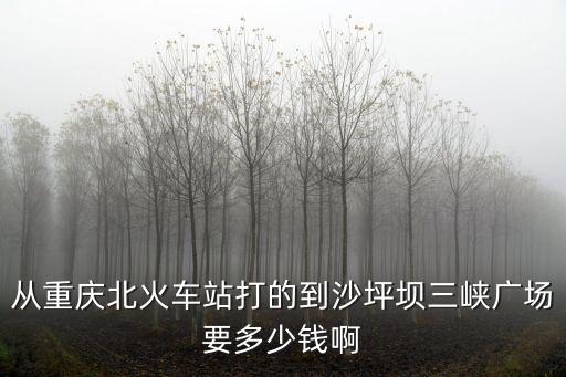 重慶市區火車站到沙坪壩多遠，重慶火車站到沙坪壩區怎么坐車