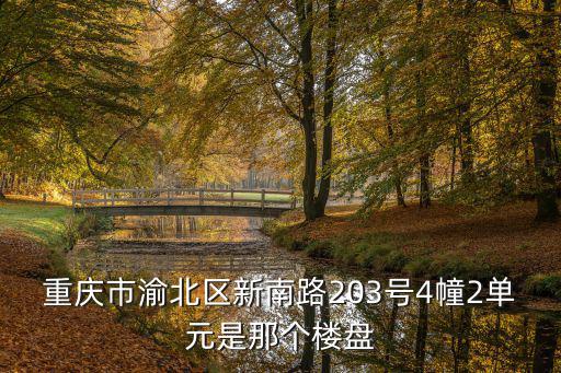 重慶市渝北區(qū)新南路203號(hào)4幢2單元是那個(gè)樓盤