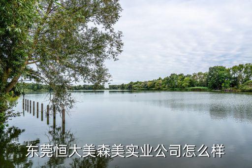 東莞恒大美森美實業公司怎么樣