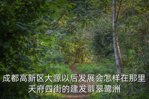 成都高新區(qū)大源以后發(fā)展會怎樣在那里天府四街的建發(fā)翡翠鷺洲