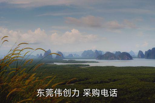 東莞偉創力 采購電話