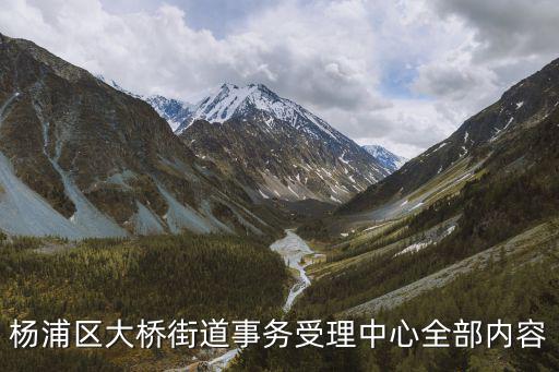 楊浦區(qū)大橋街道事務受理中心全部內(nèi)容