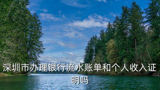 深圳市辦理銀行流水賬單和個人收入證明嗎
