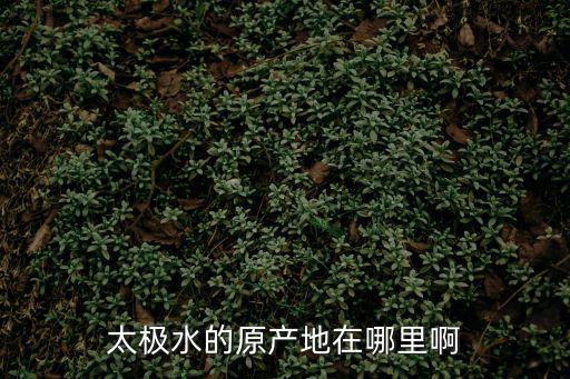 太極水的原產(chǎn)地在哪里啊