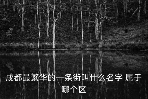 成都最繁華的一條街叫什么名字 屬于哪個區