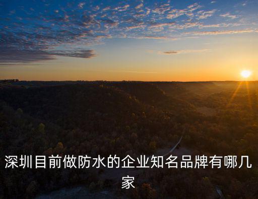 深圳目前做防水的企業知名品牌有哪幾家
