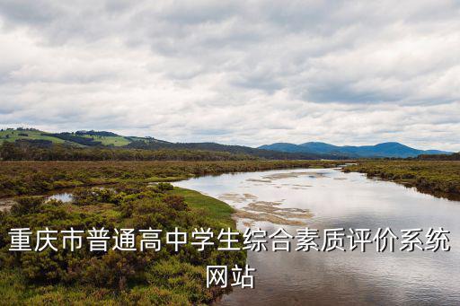 重慶市普通高中學(xué)生綜合素質(zhì)評(píng)價(jià)系統(tǒng)網(wǎng)站