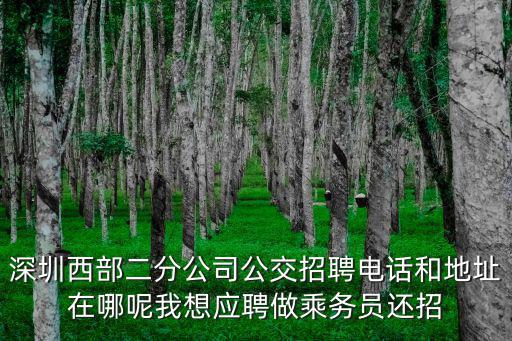 深圳西部二分公司公交招聘電話和地址在哪呢我想應聘做乘務員還招