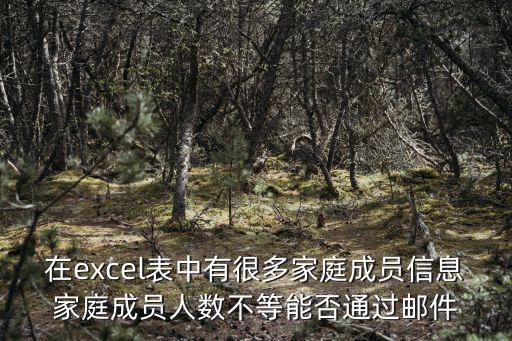 在excel表中有很多家庭成員信息家庭成員人數不等能否通過郵件