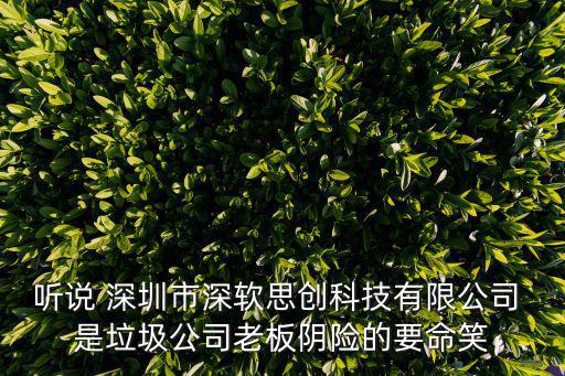 深圳市貝蒂榮科技有限公司，深圳市江盟科技有限公司的老板是誰