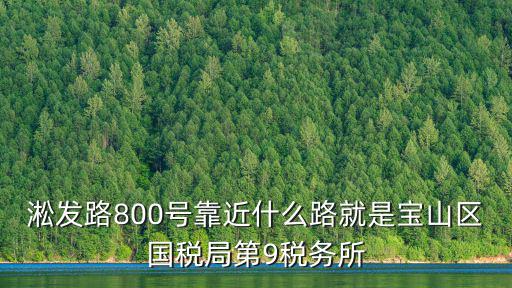 淞發(fā)路800號(hào)靠近什么路就是寶山區(qū)國稅局第9稅務(wù)所