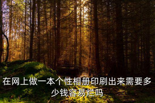 在網(wǎng)上做一本個性相冊印刷出來需要多少錢容易爛嗎