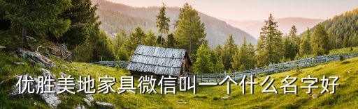 優(yōu)勝美地家具微信叫一個什么名字好