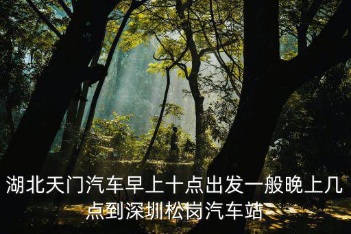 新干到深圳松崗客車，新干到深圳西經過那里