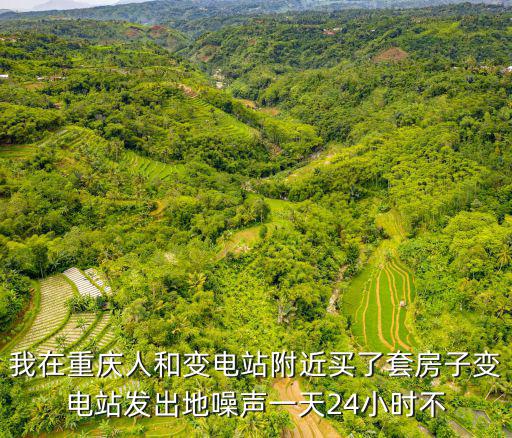 重慶市環(huán)保局羅財紅，我在重慶人和變電站附近買了套房子變電站發(fā)出地噪聲一天24小時不