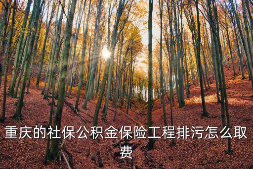 重慶的社保公積金保險工程排污怎么取費