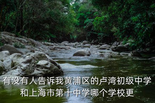 有沒有人告訴我黃浦區(qū)的盧灣初級中學(xué)和上海市第十中學(xué)哪個學(xué)校更
