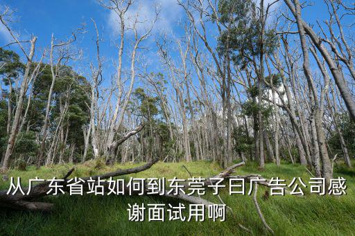 從廣東省站如何到東莞子曰廣告公司感謝面試用啊