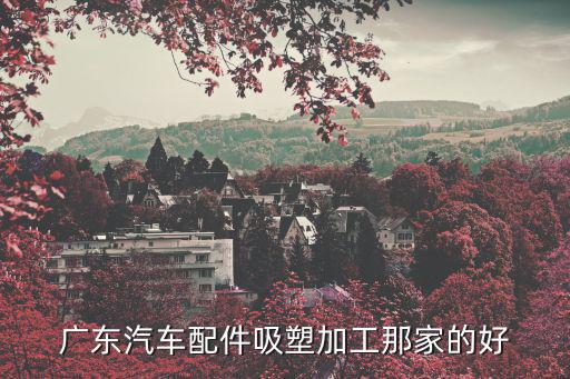 廣東汽車(chē)配件吸塑加工那家的好