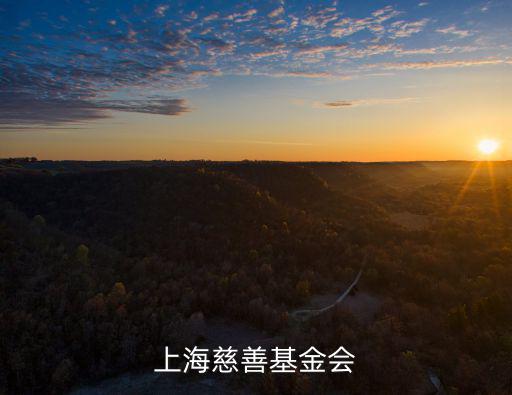 上海市慈善基金會開展，上海慈善基金會